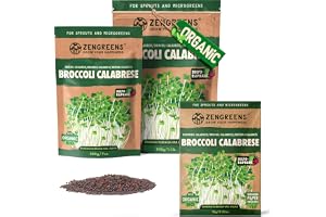 ZenGreens® - EKO Broccoli Calbresse Frön - Välj mellan 10, 200g och 500g - Broccoli Calbresse Frön med en grobarhet på över 97 procent - Groddar av Broccoli Calbresse Frön - Microgreens