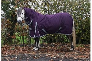 AUTUMNN EQUESTRIAN Waterproof Horse Turnout Rug 100g Fill 600d Lightweight Turnout Horse Rugs | 100g Quilted Filling | Combo Full Neck | (6'9'')