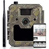 icuserver Wildtierkamera icucam 4G / LTE - 4000 Bilder zu jeder neuen 4G-Kamera - Wildkamera mit Bewegungsmelder Nachtsicht H