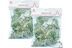 GESAR ART IN PROGRESS Gesar Mousse pour Décorer la Crèche - Stabilisée, Artificielle, Sèche - Décoration de Noël, Nativité - 100 g