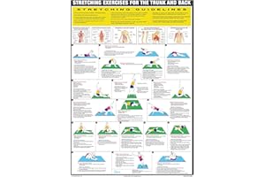 CHARTEX Stretching Exercise Posters Keep Fit Charts