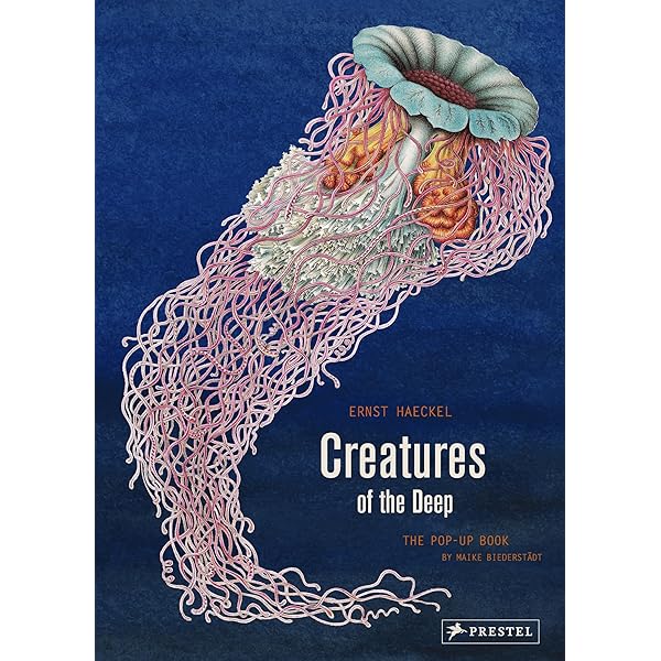 The Deep – The Extraordinary Creatures of the Abyss: Amazon.co.uk