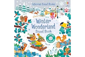 Winter Wonderland Sound Book (Sound Books)