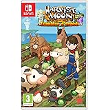 Harvest Moon Lumière d'Espoir Switch
