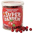 Super Garden Freeze Dried Lingonberries | Freeze Dried Fruit | Delicious & 100% Pure Freeze Dried Lingonberry | No Gluten, Preservatives or Added Sugar | Freeze Dried Food | 20g