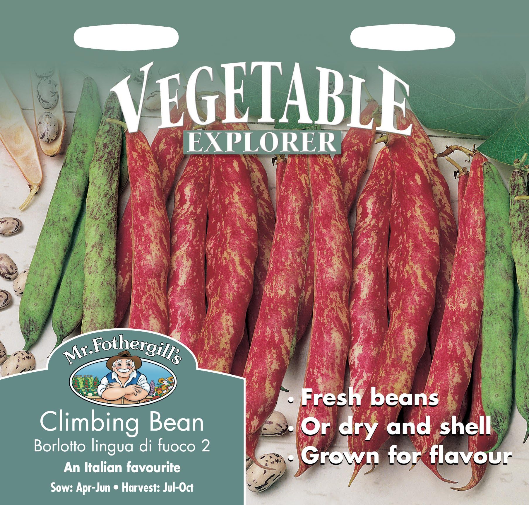 Mr Fothergill?s Seeds Ltd 12186 Vegetable Seeds, Climbing French Bean Borlotto Lingua di Fuoco 2, Red/White
