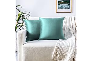 FARFALLAROSSA Set de 2 Terciopelo Funda de Cojín 45x45 cm, Funda de Almohada del Sofá Throw Cojín, Decoración Almohada Caso de la Cubierta Decorativo para Sala de Estar - Verde