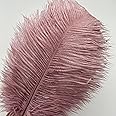 Sowder 10pcs Ostrich Feathers 12-14inch(30-35cm) for Home Wedding Decoration (Dusty Rose)