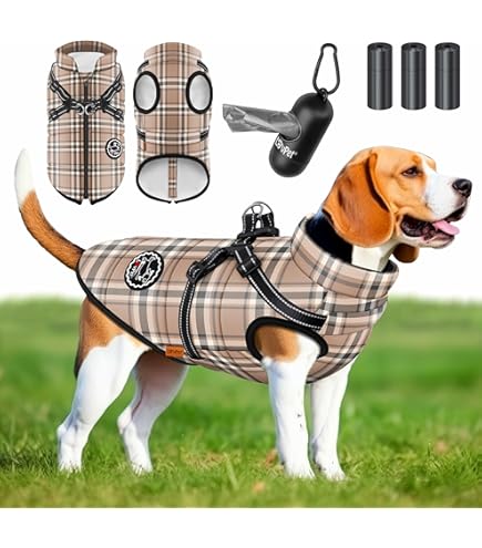 Glacier 2.0 - dé winterjas voor jouw hond