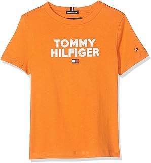 Tommy Hilfiger Boy's Logo Tee S/S T-Shirt