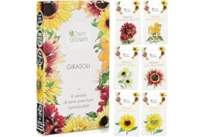 OwnGrown Set Semi di Girasole - 6 Varietà di Semi di Girasole da Piantare - Semi di Girasole Giganti e Piccoli - Semi da Piantare - Semi per Fiori Alti