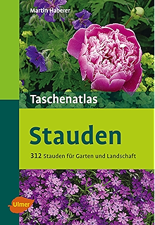 Taschenatlas Zwiebel Und Knollenpflanzen 196 Zwiebel Und Knollenpflanzen Ebook Berger Frank M Von Amazon De Kindle Shop Taschenatlas Zwiebel Und Knollenpflanzen 196 Zwiebel Und Knollenpflanzen Ebook Berger Frank M Von Amazon De Kindle Shop