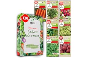 LW TORAF Set de Semillas Huerto 7 Variedades Premium de Hortalizas, 3000 Semillas, plantas de Jardín Balcón, Cocina, Zanahoria, Perejil, Rábano, Espinaca, Remolacha, Lechuga, plantas aromaticas