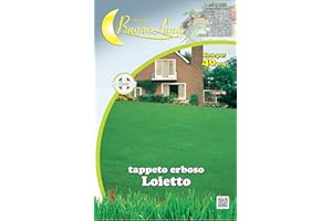 HORTUS SEMENTI SEMI PRATO KG 1 'LOIETTO PERENNE'