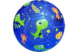 INPODAK Ballon de Football pour Enfants Taille 3, Football pour Tout-Petits Agés de 2 à 6 Ans, Dinosaure Ballon avec Pompe, Petit Ballons pour Jardin, Pelouse, Cadeau pour Garçons et Filles