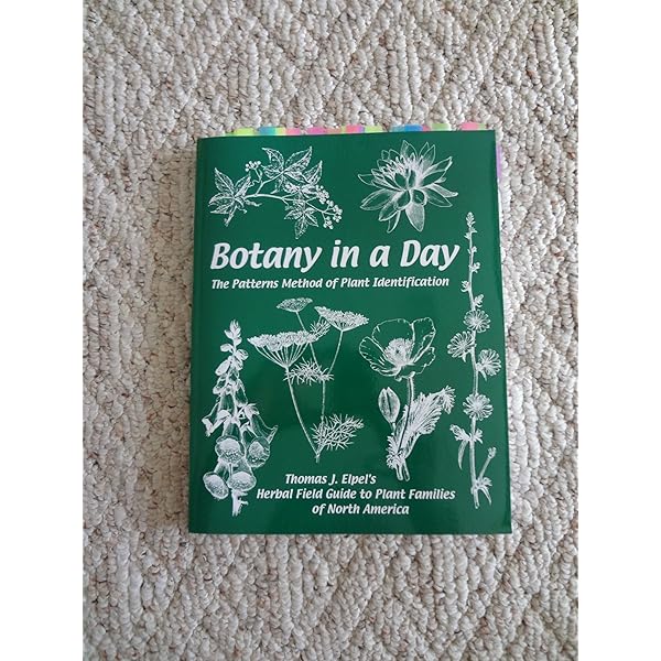 The Complete Herbal Tutor: The Definitive Guide to the