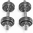 PROIRON Cast Iron Weight Plates Set 1.25kg,2.5kg,5kg,10kg (Choice of Sizes) for 1" Dumbbell Handle Bar