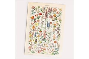 Follygraph - Póster, retro, copia de Adolphe Millot de 1909 (A2)