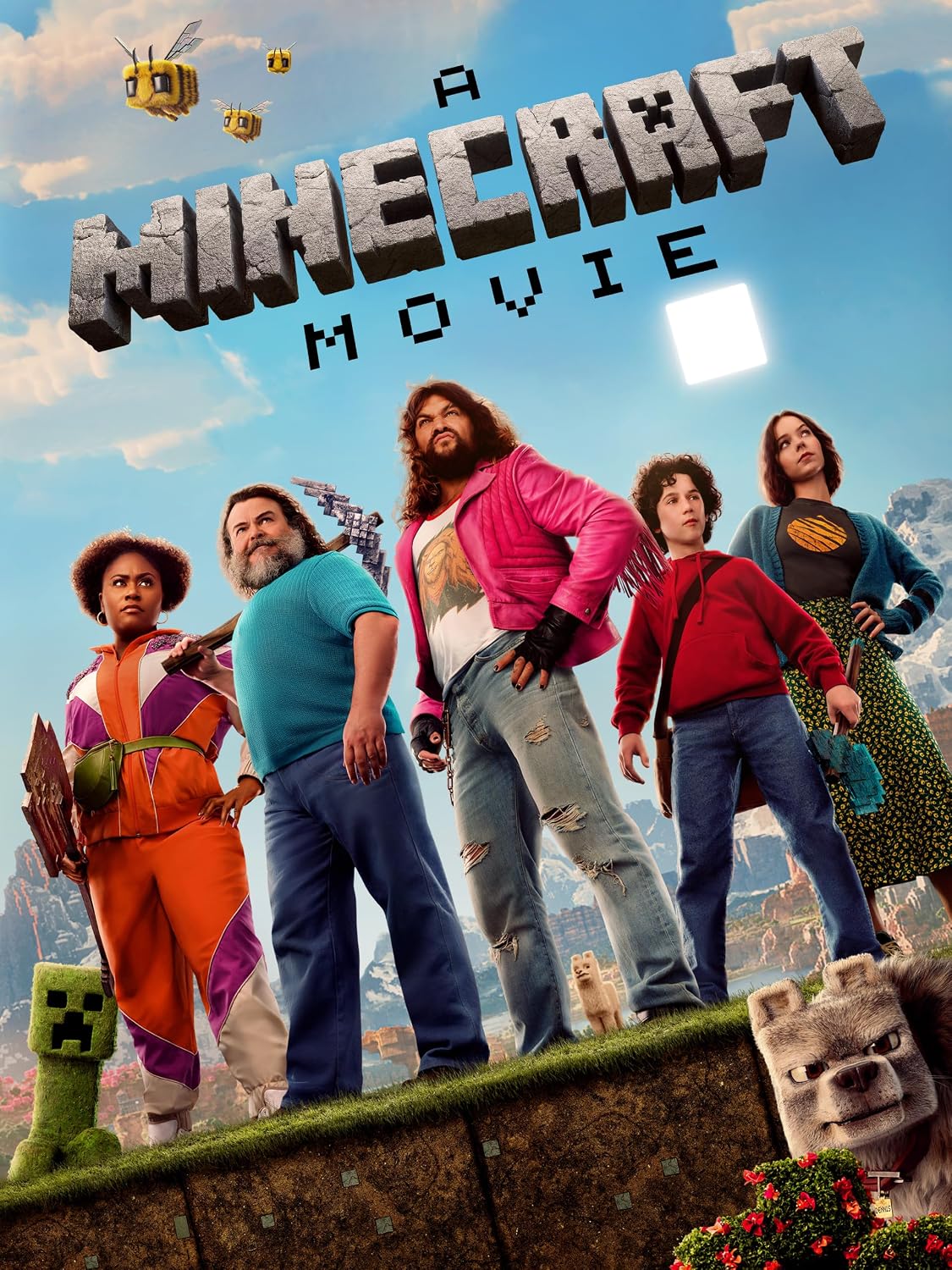 Bilan des Avis Consommateurs Vérifiés sur A Minecraft Movie Bonus X-Ray Edition
