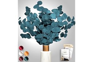 FARRELL BREC Angebot 2022 Birkental Eukalyptus - extra langlebige und 65-70 cm Lange Trockenblumen Deko - getrocknetes Eukalyptus - getrocknete Blumen , Vase Trockenblumenstrauß , Boho Deko (Blaugrün)