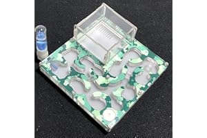 ANT GRAPE 140 * 140mm großer Raum Camouflage-Ameisenfarm-Ameisenhügel natürlich Formicarium mit Feuchtigkeits- und Wasserzufuhr für LIVE-Ameisen (Camouflage Spring)