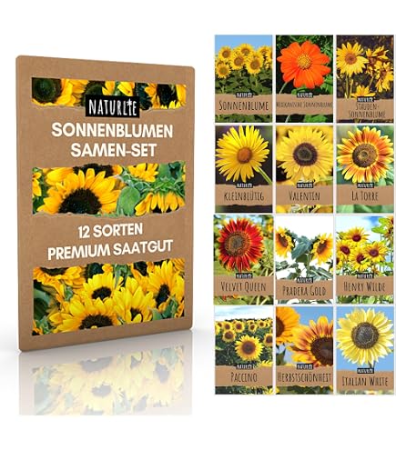 30 Sonnenblumen-Samen „Giant Yellow Single“ – Wird Bis Zu 3 M Hoch, Klassisch Gelb, Inkl. Anleitung