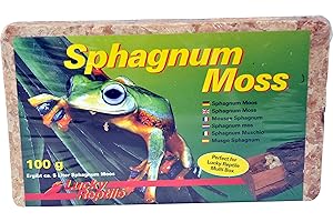 Lucky Reptile Mech Sphagnum - 100g mchu do terrarium gadów - Mech do terrarium dla większej wilgotności powietrza - Mech z kontrolowanych upraw do storczyków i bromelii -Akcesoria dla gadów