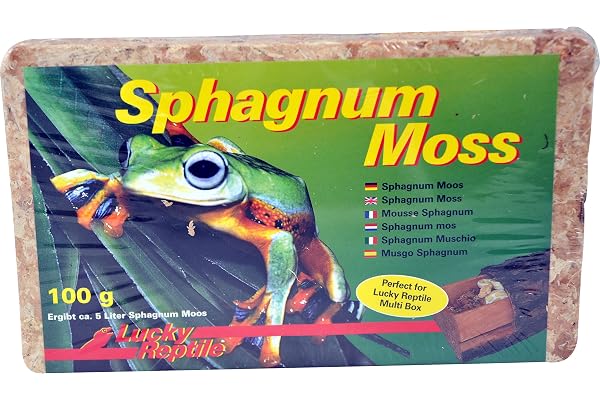 Lucky Reptile Sphagnum Moss - 100 g Brique de Mousse pour Terrarium - Augmente l'humidité de l'air - Mousse de Culture contrôlée pour orchidées & broméliacées - Accessoire pour Reptiles