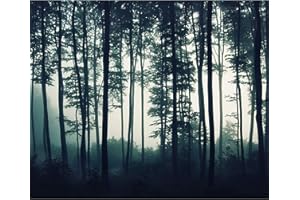 decomonkey | Photo Wallpaper Forest | 350 x 256 cm | Landscape Sun Fog Nature Trees Wall Mural Non-Woven Murals Wall Art Modern Design Print Home Decoration Wood | Bedroom Living Room | Green Blue