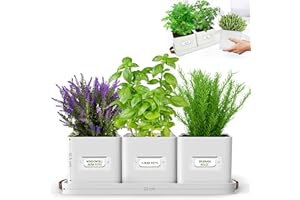 Green Thumbz Herb Pots for Kitchen Windowsill - Set of 3 Warm Stone Herb Planter Indoor with Leather Handled Tray - Ideal for an Indoor Herb Garden, Plants and Flowers - Labels Included