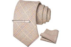 JEMYGINS Cravatta Uomo di Lana in Diversi Colori con Fazzoletto e Fermacravatta