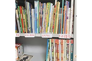 8Gnituhs 20 Pezzi 28 * 12 cm 1 mm divisori per scaffali per Etichette di biblioteche; Etichette per scaffali; Prompt per Numeri di Libri; classificazione di separazione degli scaffali; Guide per File