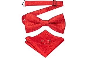 JEMYGINS Papillon Uomo Paisley Design Regolabile in Diversi Colori con Fazzoletto e Gemelli