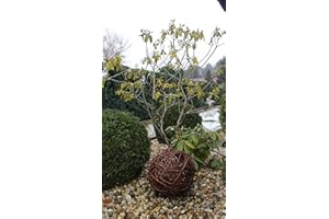 MARCUS WEIDENHANDEL Boule en osier en 6 tailles - Boule décorative en osier - Boule de jardin fabriquée à la main dans l'UE (30 cm)
