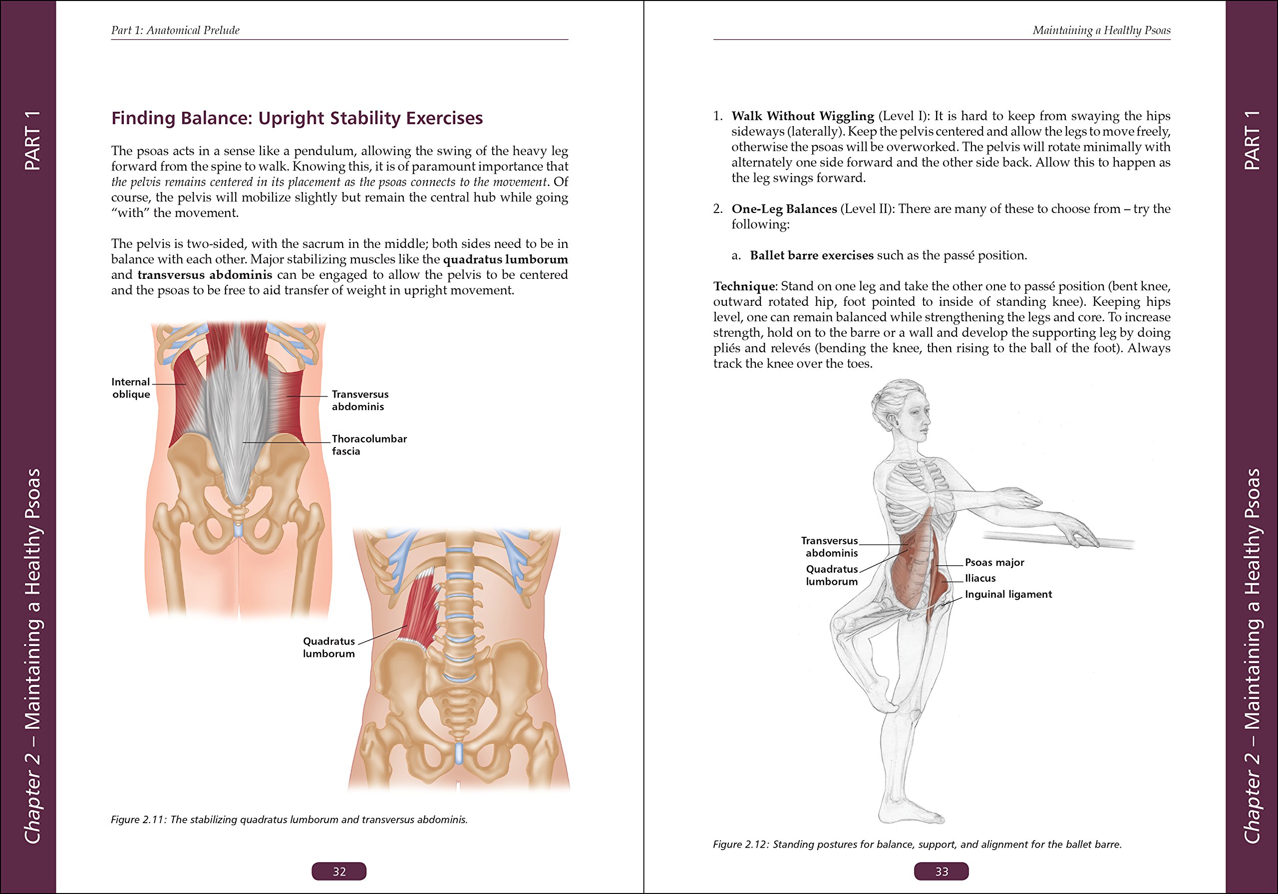 The Vital Psoas Muscle: Connecting Physical, Emotional, and Spiritual Well-Being - Image 6