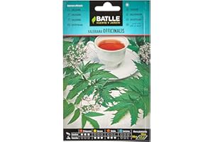Graines aromatiques de Batlle - Valériane Officinalis (0,5g)