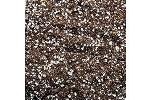 BHOMESCENT Superior Cacti & Succulent Potting Mix – Nutrient-Enriched with Slow-Release Fertiliser & Mycorrhizal Fungi for Strong Root Development (15L)