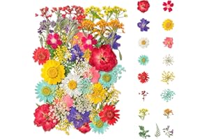 Getrocknete Blüten,Getrocknete Blumen deko, Lesezeichen, Dried Flowers, Kaluofan Getrocknete Blumen für DIY-Schmuck, Fotoalben, Fotorahmen, Geschenkverpackung Materialien, Vase Machen