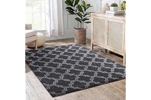 N / A Bedroom Rug Shaggy Rug for Living Room, Non-Slip Rug, Soft Shaggy Rug, Luxury Rectangular Rug, Comfortable for Living Room, Bedroom, Floor Mat (Light Black, 160 x 200 cm)