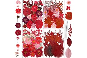 YouthBro 150PCS Red Dried Pressed Flowers with Butterfly Stickers Real Nature Flowers Herb Set for Resin DIY Jewelry Candle Soap Vase Making Nail Card Scrapbook Art Craft Floral Decors