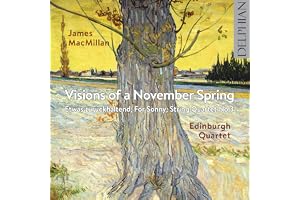 Visions Of A November Spring