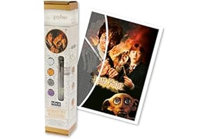 DIAMANTINY Harry Potter - Wizarding Art Medium La Cámara de Secretos - Kit crea el mosaico, Actividad de arte de cristal, Diamond Painting, 1 Canvas 30 x 40 cm