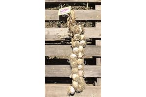 AGRICOLA LA TRECCIA Aglio Rosso di Proceno - n. 2 trecce con 20 teste piccole piccole (2x20TPP) - 1^ class. Italia