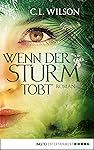 Wenn der Sturm tobt: Roman (Mystral 4)
