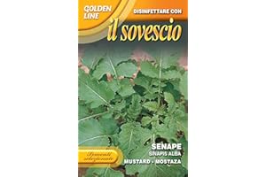 FRANCHI SEMENTI, SEMENTI DI PIANTE DESTINATE AL SOVESCIO IN CONFEZIONE DA 100 GR (SENAPE)