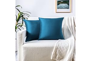 FARFALLAROSSA Set 2 Copricuscini Divano 40x40 cm, Federe Cuscini Divano in Velluto con Cerniera Invisibile Rinforzata, Ideale per Cuscino da Divano Decorativi - Blu