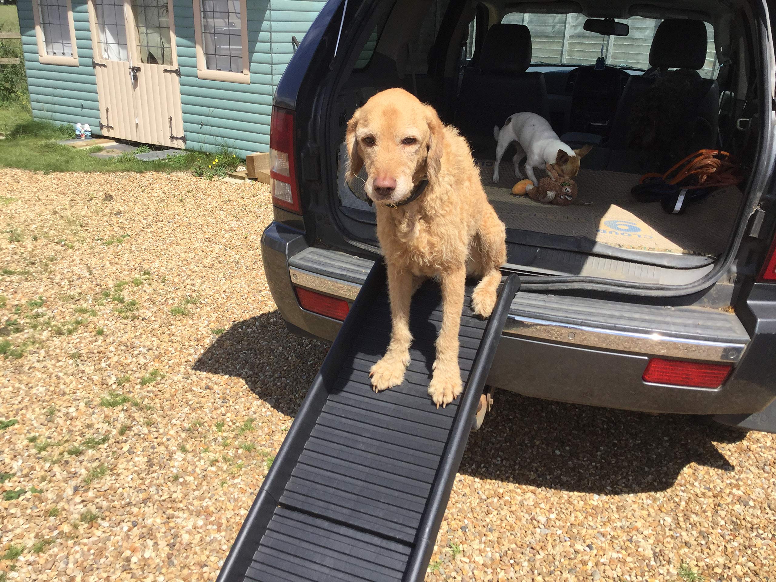 doghealth safety engineered Pet Ramp Lightweight and strong Dogs.co.uk