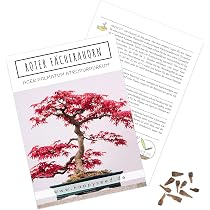Auergewhnliche Bonsai Samen mit hoher Keimrate - Pflanzen Samen Set fr  deinen eigenen Bonsai Baum (1x Roter Fcherahorn) : Amazon.de: Garten