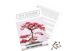 HAPPYSEED Außergewöhnliche Bonsai Samen mit hoher Keimrate - Pflanzen Samen Set für deinen eigenen Bonsai Baum (1x Roter Fächerahorn)