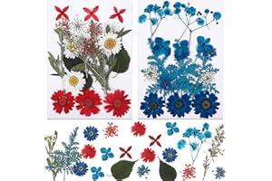 MWOOT 42 Pieces DIY Crafts Dried Pressed Flowers Leaves Daisies Petals for Candle Resin Jewelry Nail Art Pendant Making, Blue Red White Floral Petals Decors